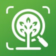 ไอคอนของโปรแกรม: Forest Tree Identificatio…