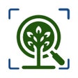 Programikonen: Forest Tree Identificatio…