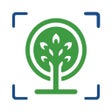 Programikonen: Forest Tree Identificatio…