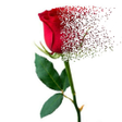 Programikonen: Pixel dispersion effect-E…