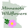 ไอคอนของโปรแกรม: Minnesota Wildflowers Inf…