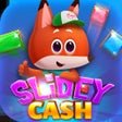 أيقونة البرنامج: Slidey Cash