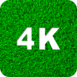 プログラムのアイコン：Green Wallpapers 4K