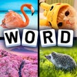 Programikonen: 4 Pics 1 word Puzzle game