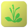 Programikonen: Japnese Wild Flower List