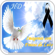 程序图标：Imágenes con Frases de Lu…