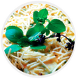 Programikonen: Receitas de Maionese