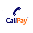 程序图标：CallPay