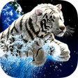 Programikonen: White Tiger Live Wallpape…