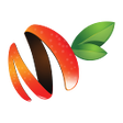MangoSigns Chrome Player icon