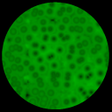 ไอคอนของโปรแกรม: Microscope Virtual Cells …