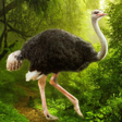プログラムのアイコン：The Ostrich