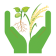 Icon of program: Quality Seeds