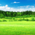 Ícone do programa: Relax Country: sleeping s…