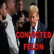 Icoon van programma: Donald Trump, Convicted F…