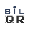 程序图标：BilQR