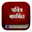 Hindi Bible : Pavitra Bible