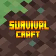 Survival Build and Crafting