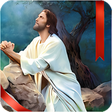 Icon of program: Biblical Videos and Chris…