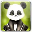 Panda Bobble Head Wallpaper