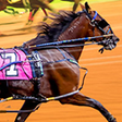 Icoon van programma: ﻿﻿Premium Horse Racing