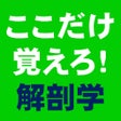 أيقونة البرنامج: ここだけ覚えろ解剖学CHOICE