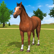 Programikonen: Wild Horse Family Simulat…