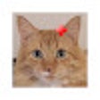 Better Destiny.gg icon