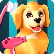 Become a Puppies Groomer