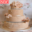 プログラムのアイコン：New Cake Decorating Ideas…