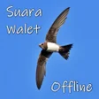 程序图标：Suara Walet Panggil dan I…