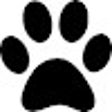 Иконка программы: Puppy Overload