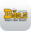 程序图标：B 99.5