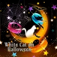 White Cat on Halloween HOME