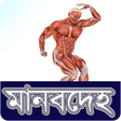 Programikonen: মানবেহ