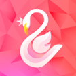 Icon of program: Swaan