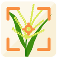 程序图标：eDamuhan