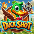 Icoon van programma: Duck Shot - Collect Gifts