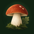 프로그램 아이콘: Gljivar mushroom forecas…