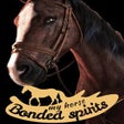ไอคอนของโปรแกรม: My Horse: Bonded Spirits
