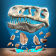 Icon of program: Fossil Hunt