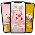 Ikona programu: Cute Pig Wallpaper