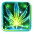 Biểu tượng của chương trình: Neon Smoke Weed Live Wall…