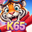 Icoon van programma: K65 Finder