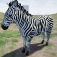 Programikonen: Happy Zebra Simulator