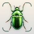 ไอคอนของโปรแกรม: Insect Identifier: Bug Fi…