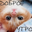 Icon of program: Good morning images