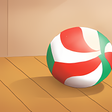 程序图标:Haikyuu Otome
