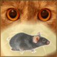 Programikonen: Mouse on the Screen for a…
