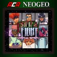 Icon of program: ACA NEOGEO GALAXY FIGHT: …